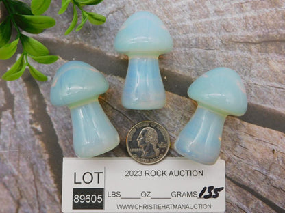 OPALITE MUSHROOM COLLECTION