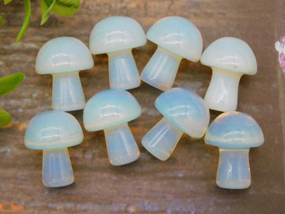 SMALL OPALITE MUSHROOM COLLECTION